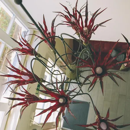 Daire Villa-senta-apartment-6 Kühlungsborn